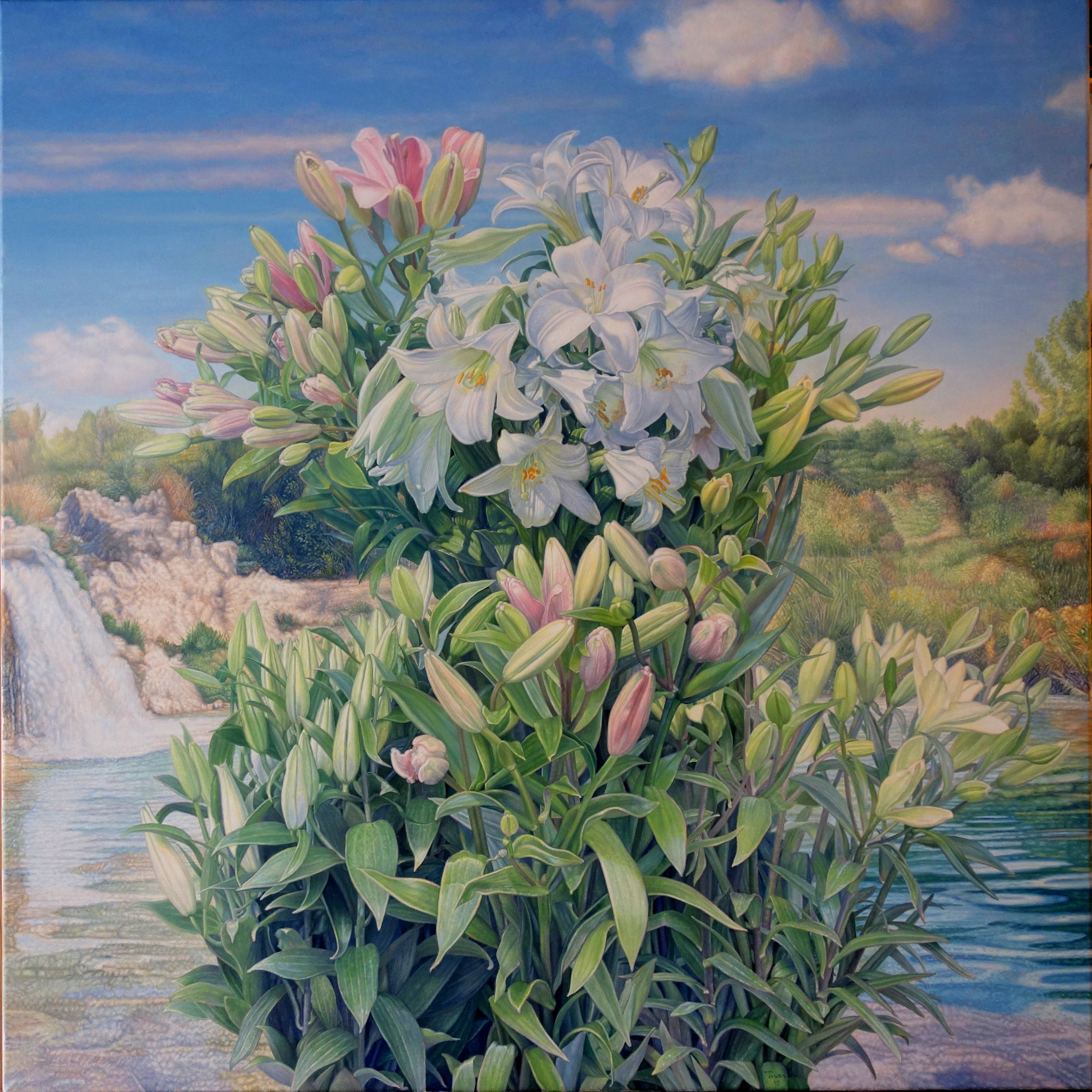 Lilies in the lake,2015 | oil on canvas, 39.3x39.3 in.