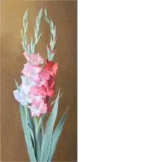 Gladiolus, 2012 | oil on canvas, 31.2 x 15.6 in.