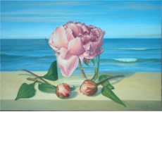 Peonias by the sea, 2007 | oil on canvas, 14.8 x 21.5 in.